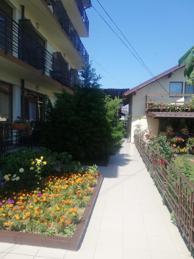 Villa Pescarus Costinesti Exterior photo
